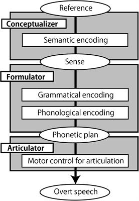 The Neural Correlates of Semantic and Grammatical Encoding During Sentence Production in a Second Language: Evidence From an fMRI Study Using Structural Priming